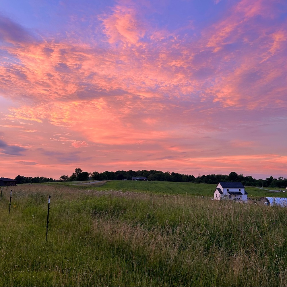 Meet your Posher, Naomi